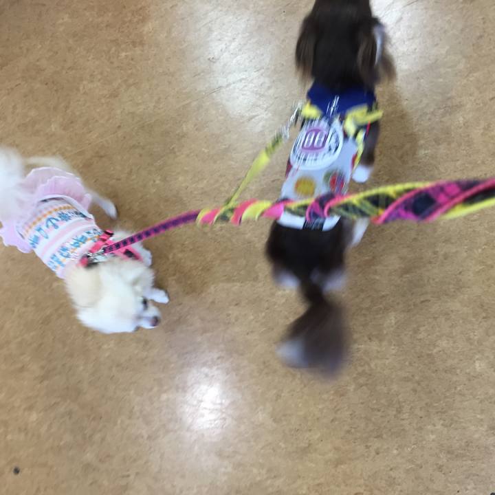 F3a995a1 ecdd 429a a858 2684911cba80