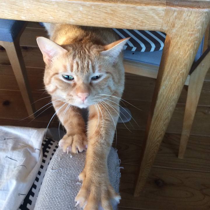 F3aaf7b8 5ec3 472e a6a6 4475e9d9f594