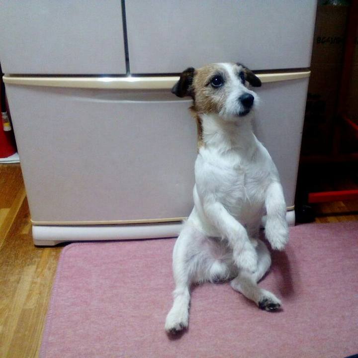 F3aafb08 379d 4f4c 9292 d8f8e36f8482