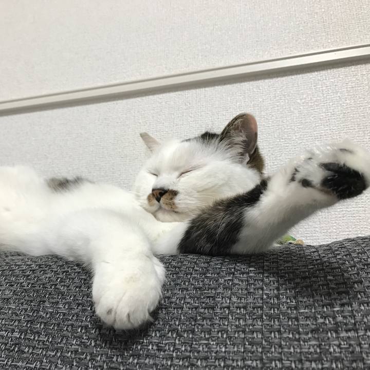 F3ab45f7 9b41 4458 98b8 86bd994a8888