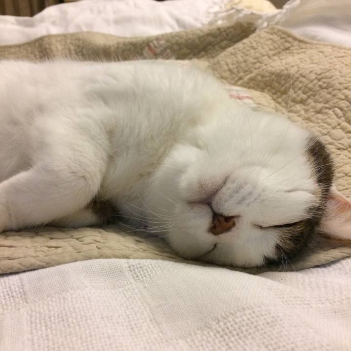 F3ab6a35 3e78 410c bc01 6925a905e21a