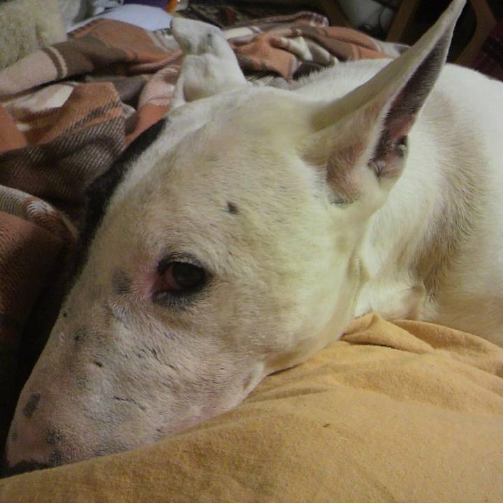 F3ab9134 68f5 4db1 9526 e22044280a72