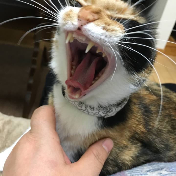 F3ac4286 acde 4323 9259 8a1d7877a034