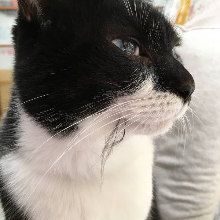 F3ac4fc6 6c43 45c7 8af4 c14af06db8d5