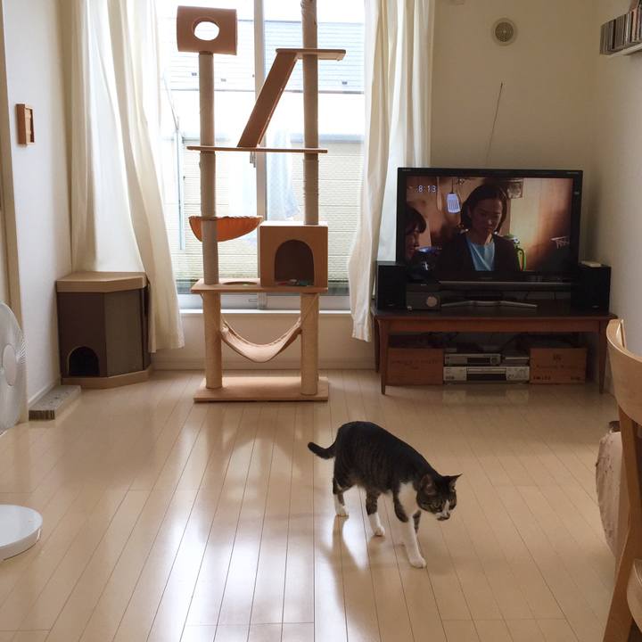 F3ac5c46 35f0 44d6 86d7 4011e9de4242