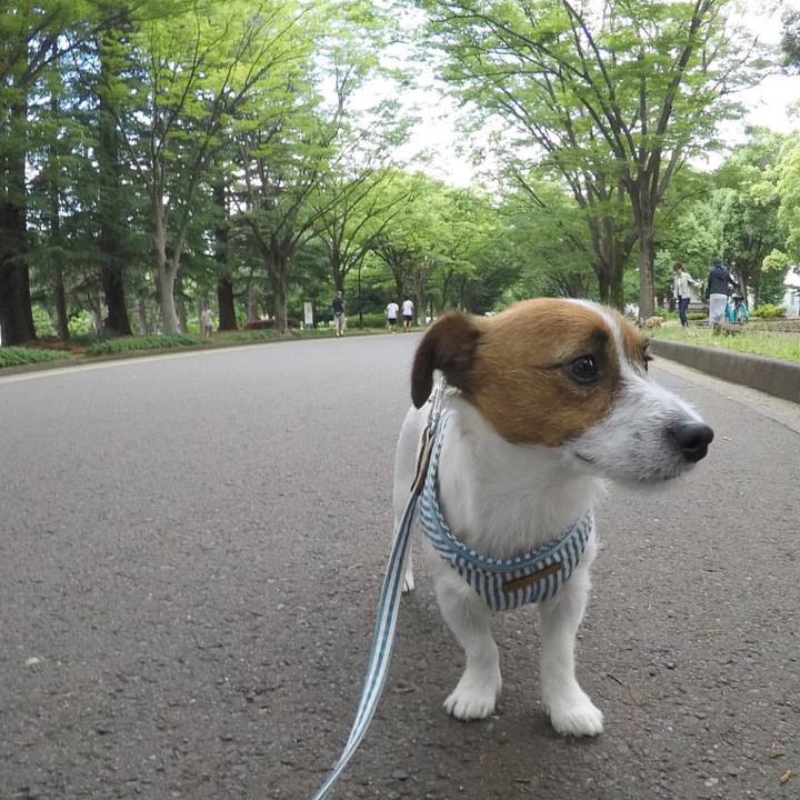 F3ac761f 5f18 4275 bec4 12b9ddce9da8