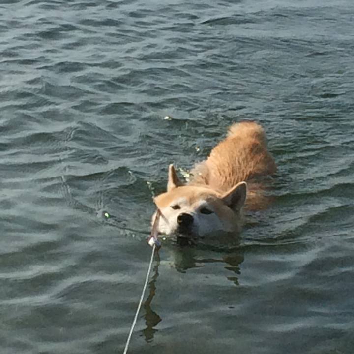 F3acaea0 1bbf 443d a065 9aa38639d092