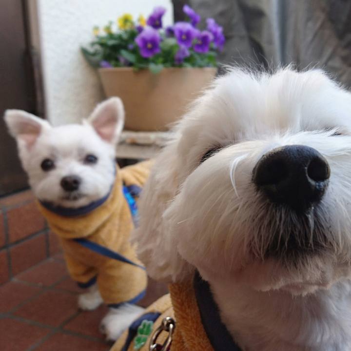 F3ad7ae9 363a 4693 b711 a5f1f005a18a