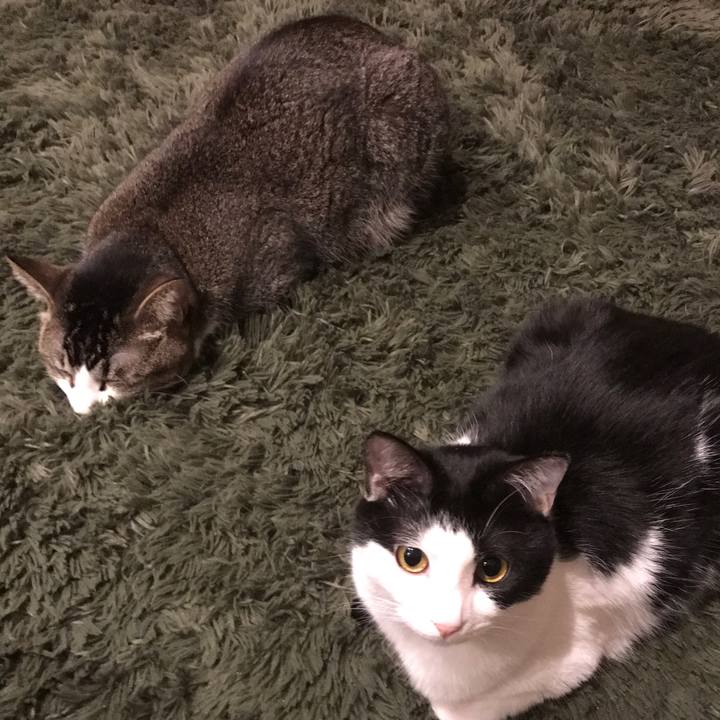 F3adfab6 5bbc 44d5 9b39 5fe0df97e8de