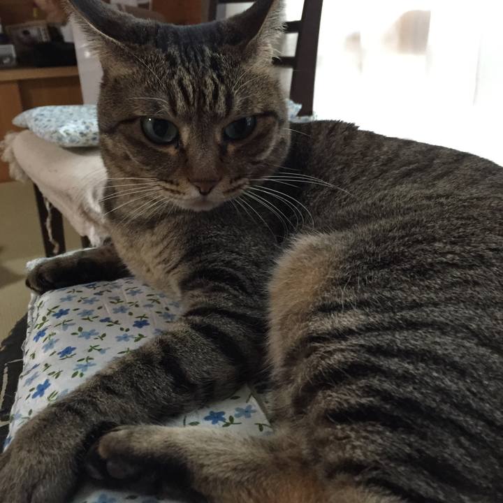 F3af2701 41d6 4504 8e89 7538cdddd6e2