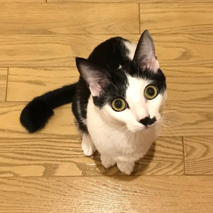 F3afa9fe b569 430a a9d9 bc3510512dd3