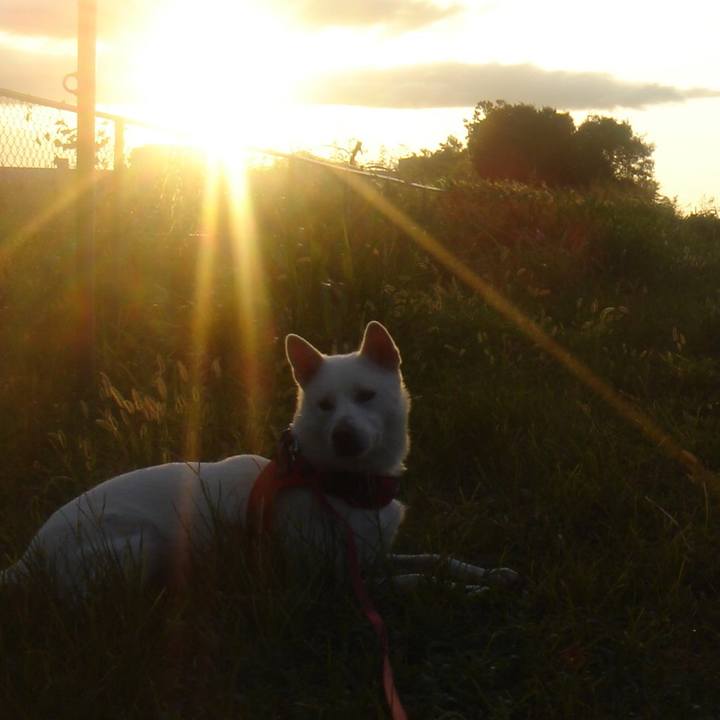 F3b03337 3913 4d96 836a 58345a1d81e1