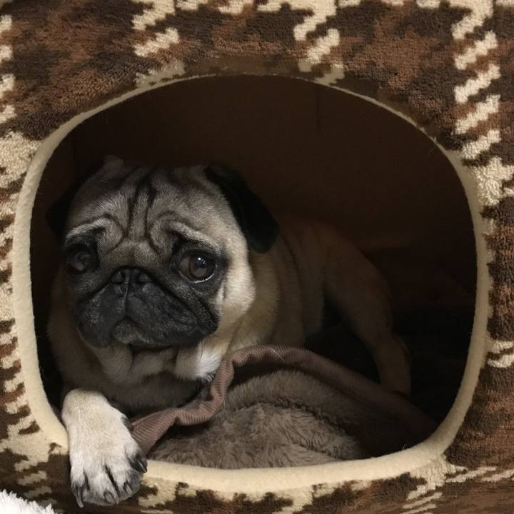 F3b15ee8 9f78 43d1 9090 52bdb1a55fbc