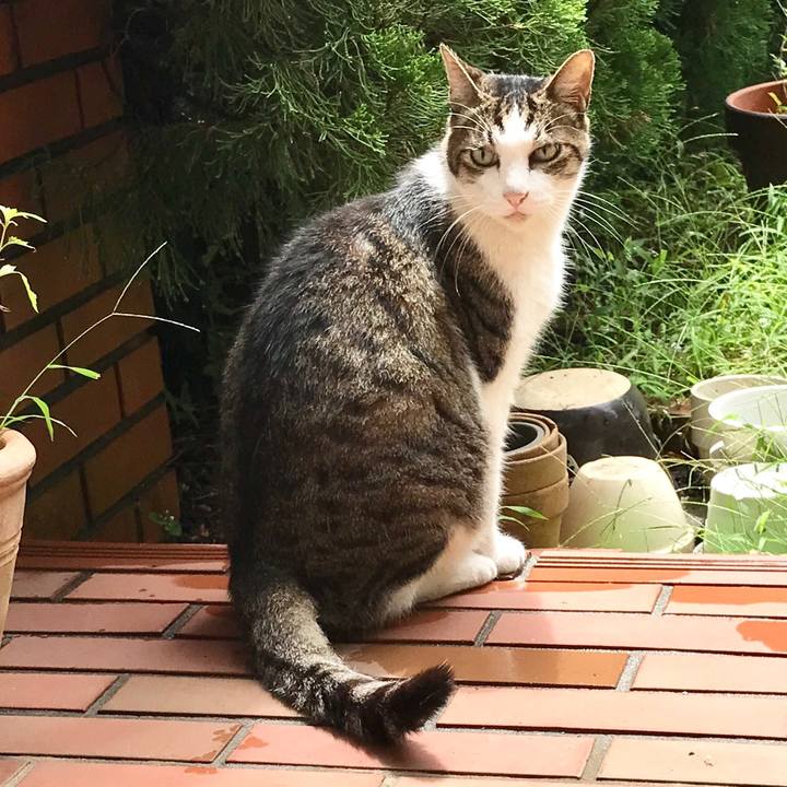 F3b1d90c 0c52 4f0e 9501 46b4cfc1f595