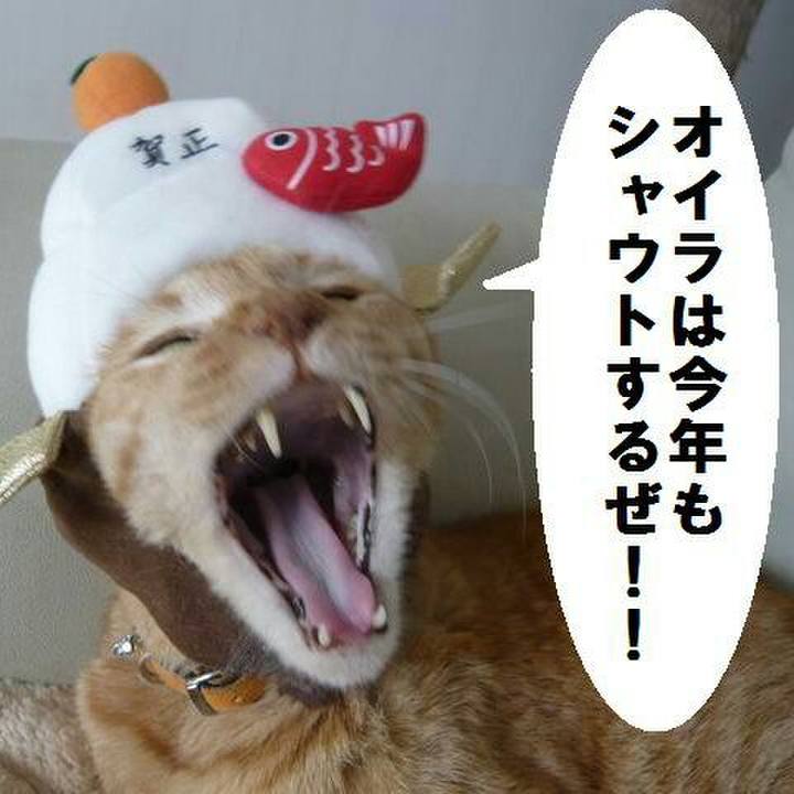 F3b22b18 554e 44cf a602 9c9757ccff9c