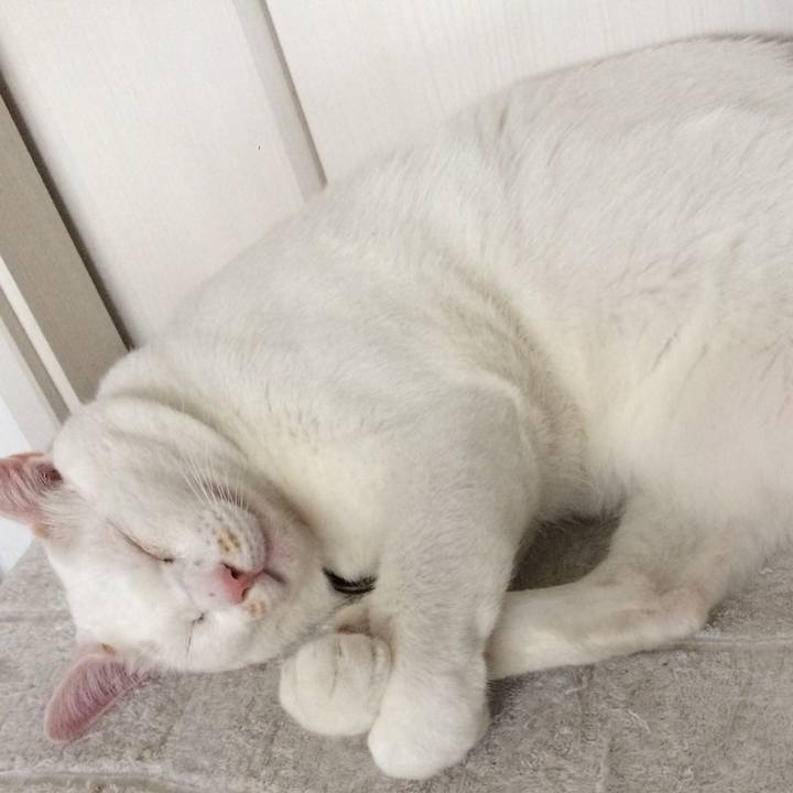 F3b25ba7 82d1 4a93 b73a 377b20a15062