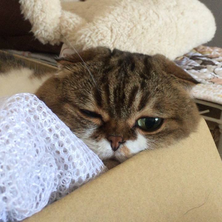 F3b3181e 6f07 48a3 9763 4c5bb720e5c7