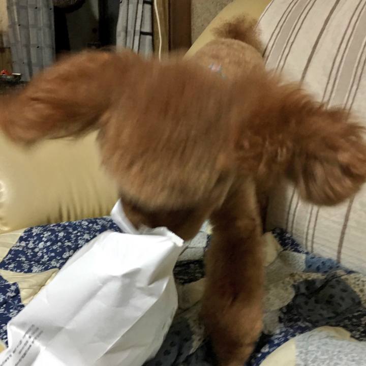 F3b320ba 4d9d 4005 ab6d 349f3bd5da14