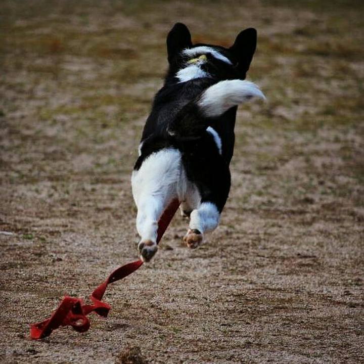 F3b3705c 6ae7 4662 bba4 0b00d3d7b820