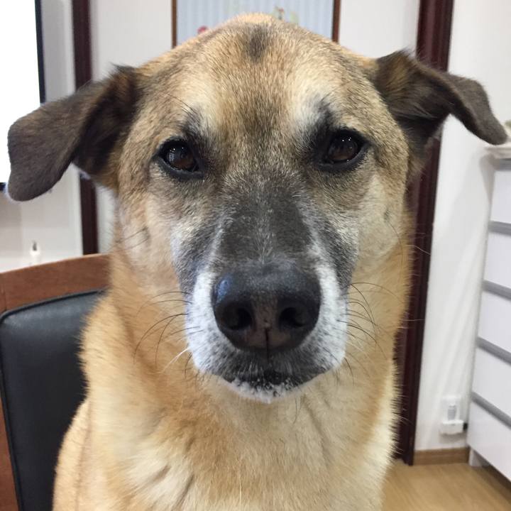 F3b387dd c17f 46f0 b442 14bef2a6880f