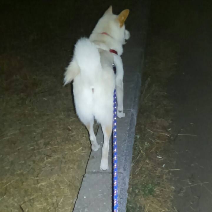 F3b43329 8b55 4d3b b009 1c12386378fa