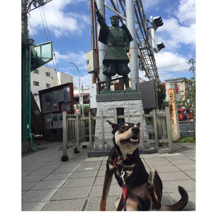 F3b511d9 9370 408b 9d85 7a4a2a3e1263