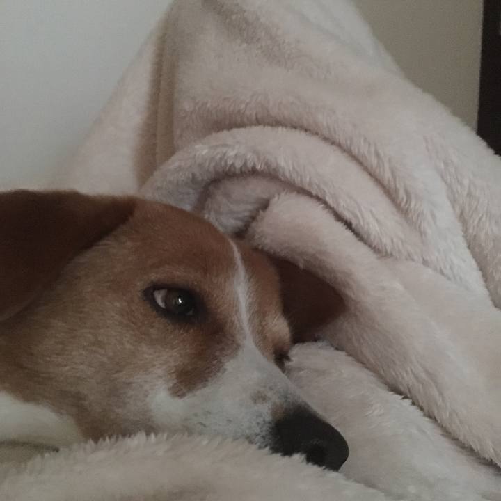 F3b51740 3a8d 42ea a0df 29b87ad07564