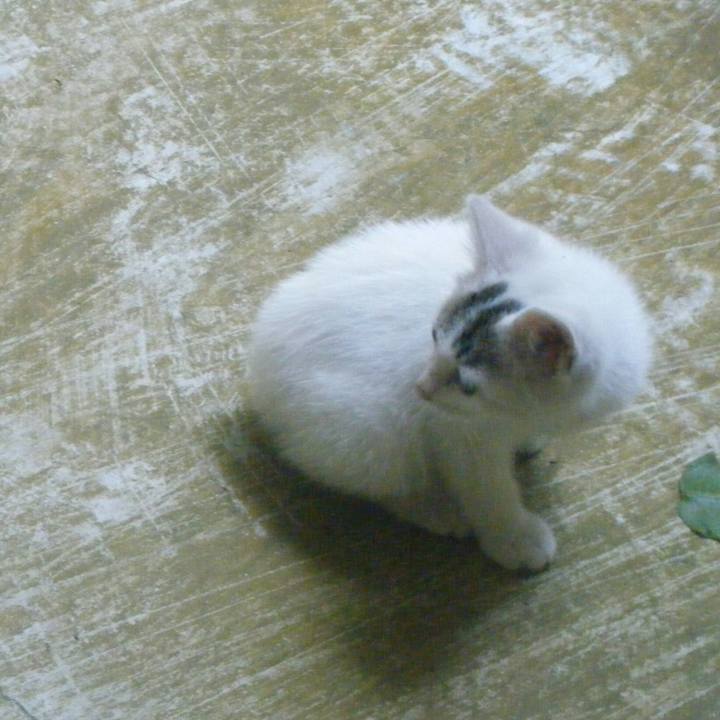 F3b52c7a d5d9 4c8d ac08 6c6eb21cee33