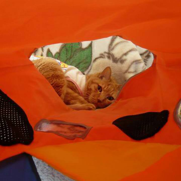 F3b5a46b ba24 4031 9970 72a788fdefa6