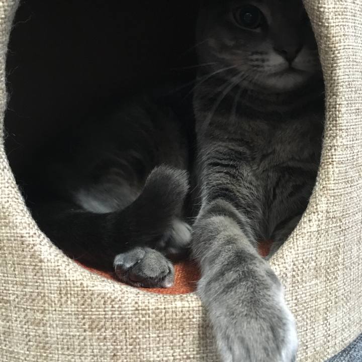 F3b64037 db82 4d58 b99a f72295466f26