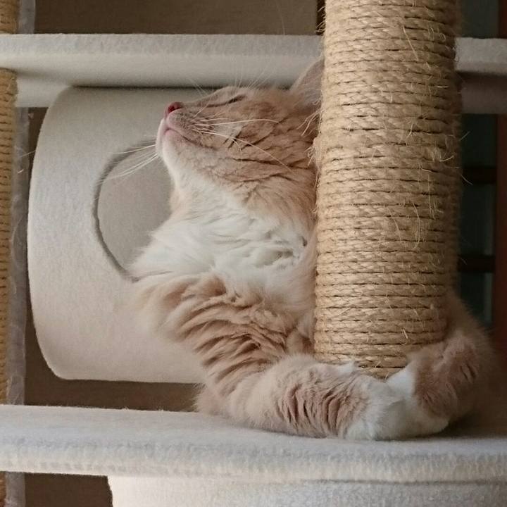 F3b64336 adcf 4530 83a4 f845c4488ea9