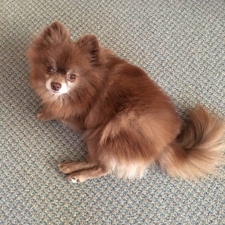 F3b69c6d 65a6 492b 9ec0 e29e11189555