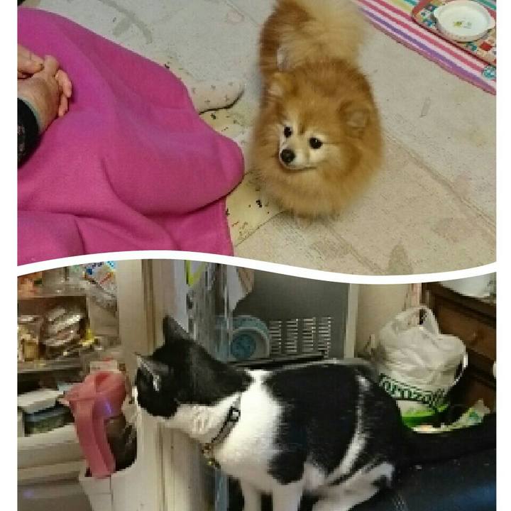 F3b6cd9e 8b67 4676 be05 028adb55d9af