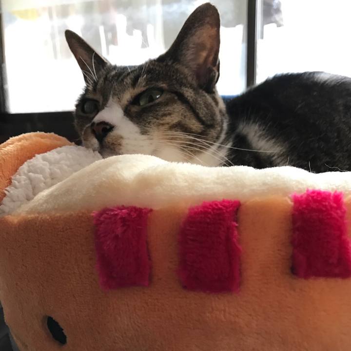 F3b84a52 5fc5 41e8 b805 12a092099a37