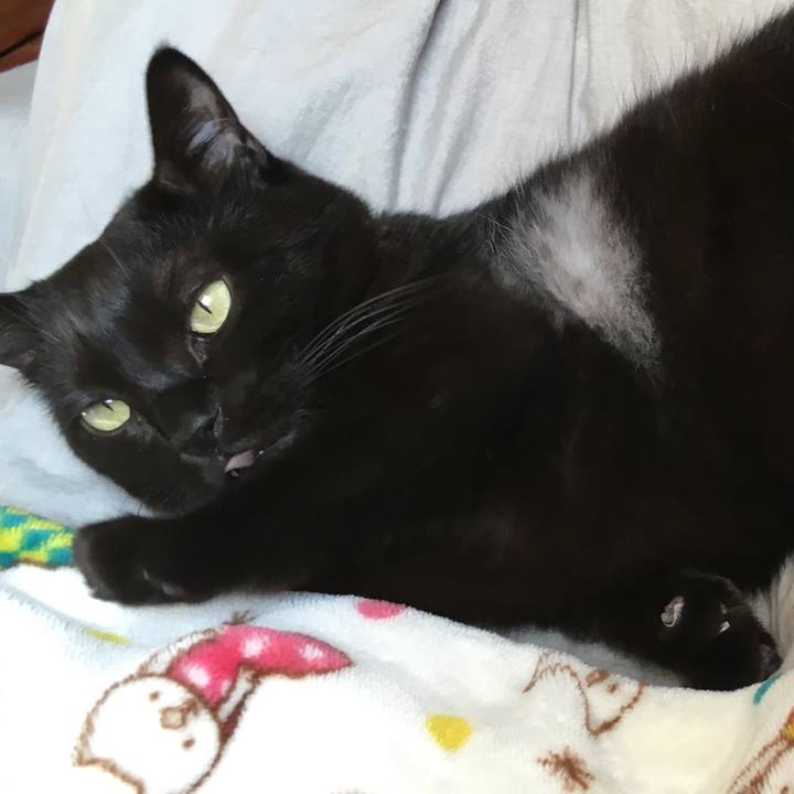 F3b95e69 21b2 4253 87e0 e92dd82823fb