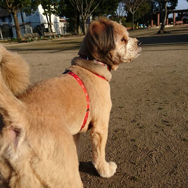 F3b97a9a b9fa 4069 8a63 abf0cbde6532