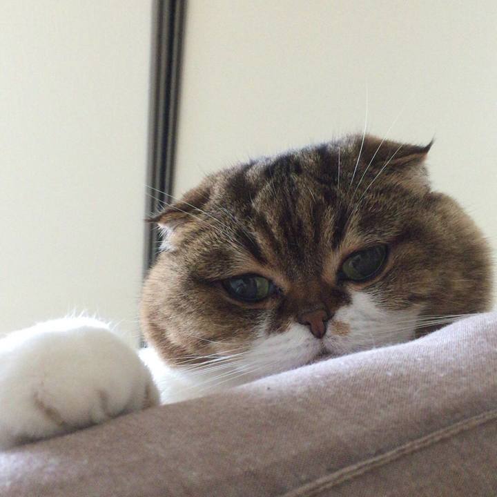 F3b9dd1b 438c 47a1 964f 779b9da3dcc6