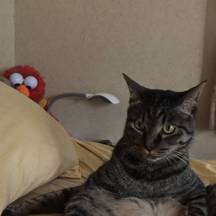 F3ba9faa d91c 4500 8973 80ead99bd86f