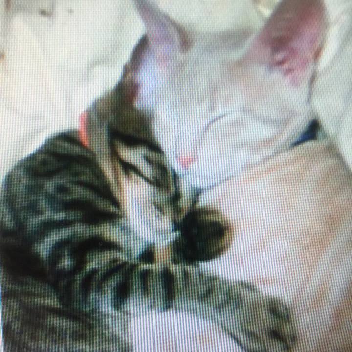 F3bad17d 41a1 4e4e 98eb 8fec160cb53d