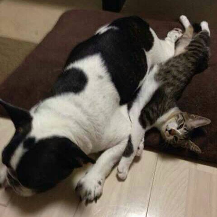 F3baf37c 19f4 4702 8cd0 5320eb9d4d27