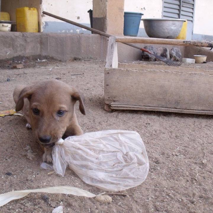 F3bb1291 6ecb 48d5 ba4e c0e7c0882f29