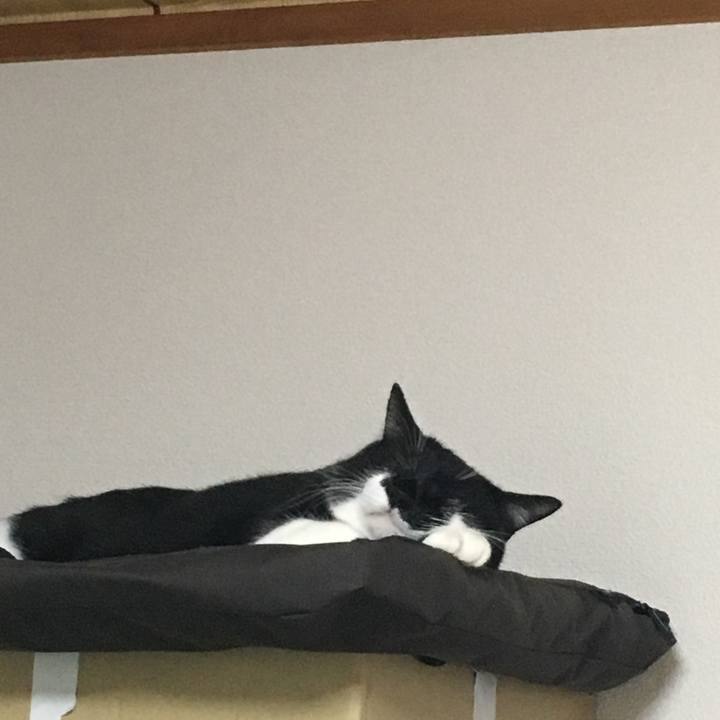 F3bb5604 4113 496c b9a9 c6dc32f64052