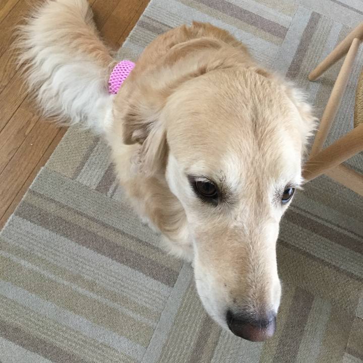 F3bb5b2e 2aaa 4e7b 8ead 3180fa73935d