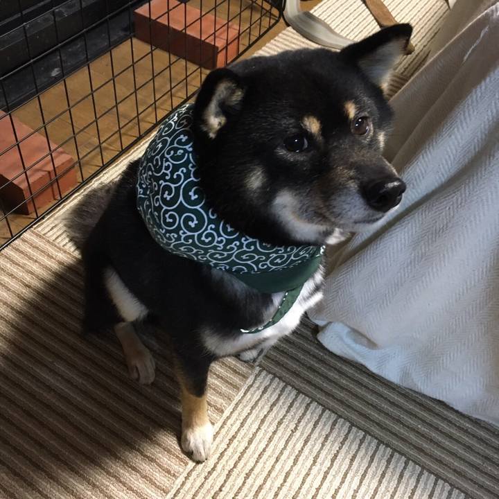 F3bb71c4 bf3c 46d1 a074 3eee970d0e9a