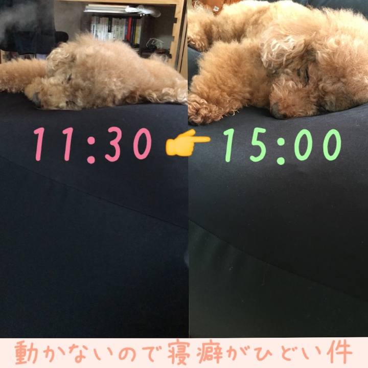 F3bbeb21 1aa0 40f8 ae46 b3fdac175436