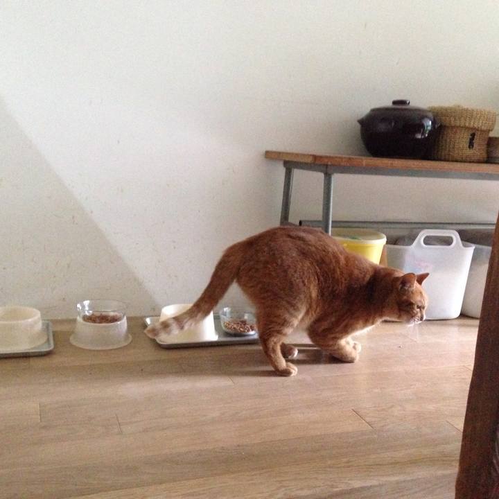 F3bc2e74 c6d5 43f2 9150 430696624a92