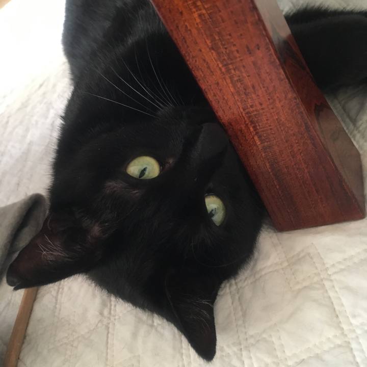 F3bc908c 1991 4918 9584 80fc9614618b