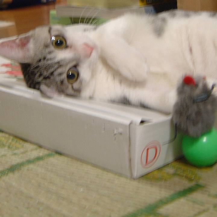 F3bcc07d 3b7c 47ac 9c69 5d636facd0b0