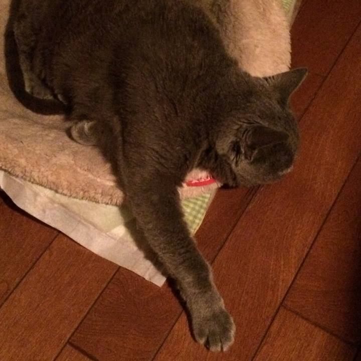 F3bd60a4 da68 494b ae9c db0079ce90cb