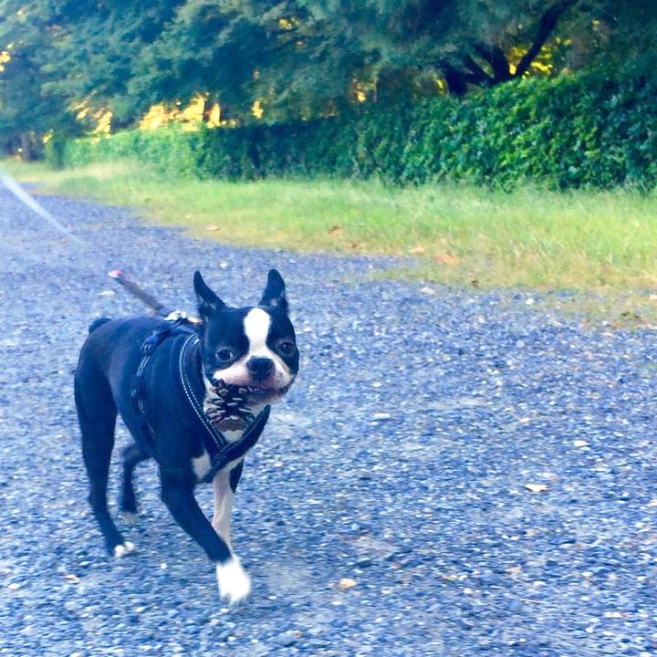 F3bd7ee4 f178 4818 94c8 56bfa0e2aa92